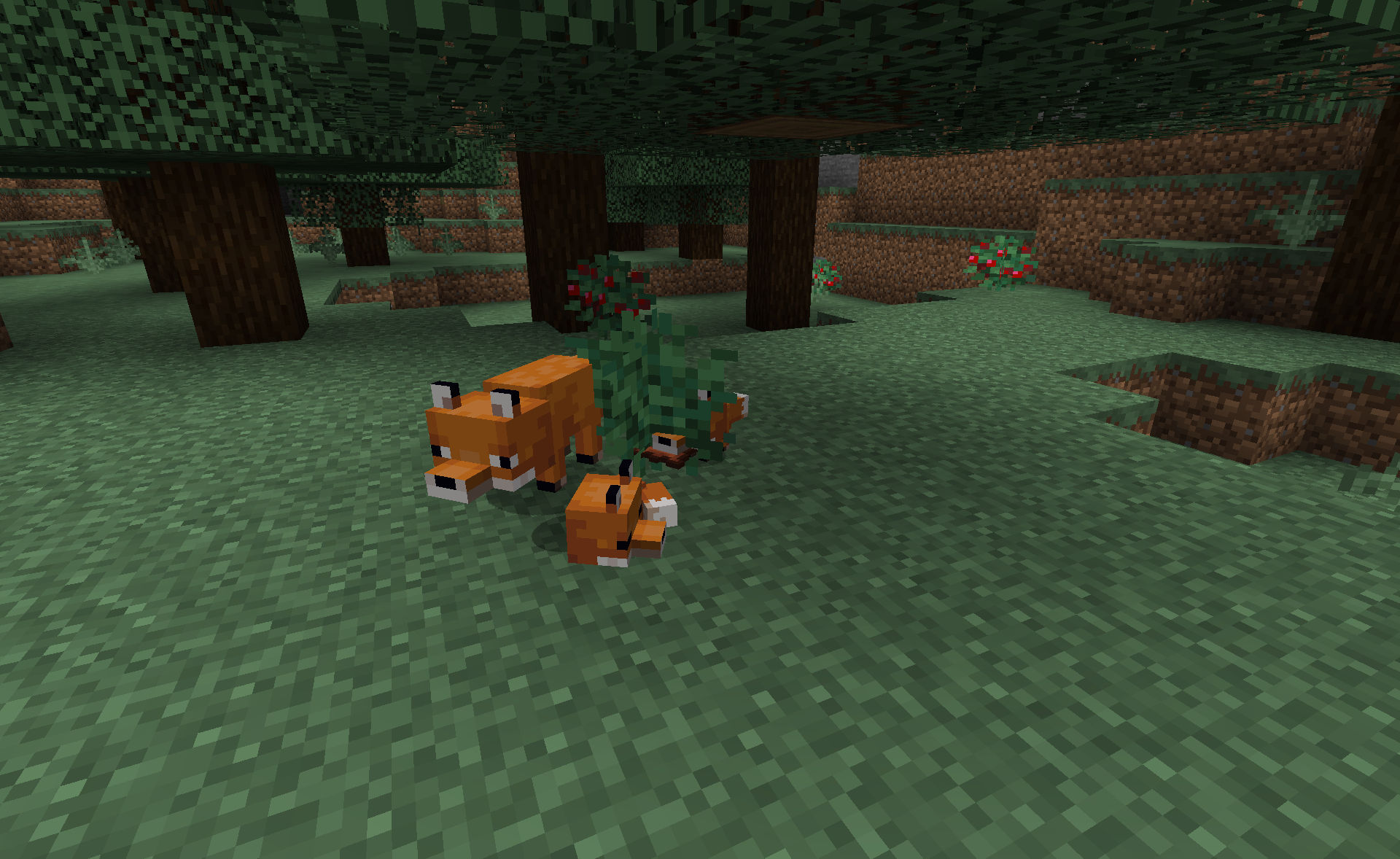 Comment adopter un renard comme animal dans Minecraft ?
